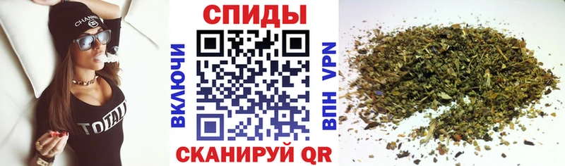 OMG зеркало  Мамадыш  Бутират 99% 