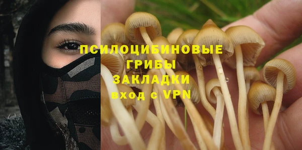спиды Армянск