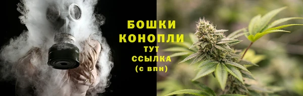 круглые Аркадак