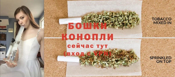 spice Арсеньев