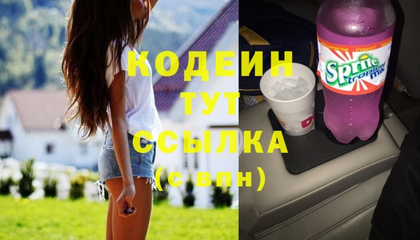 spice Арсеньев